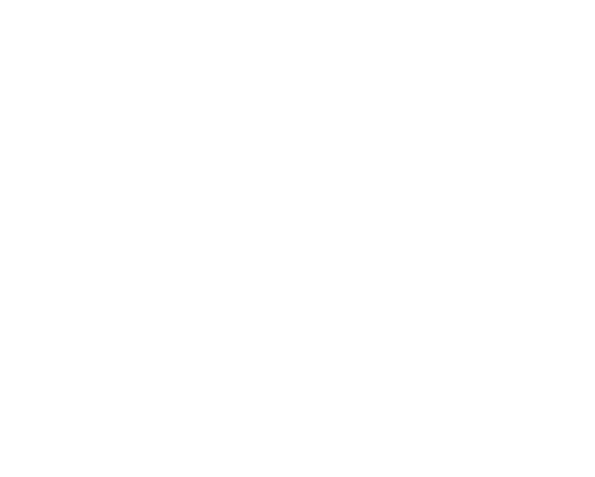 Selva Virgen Logo
